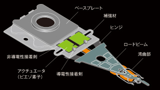 ヘッドの図